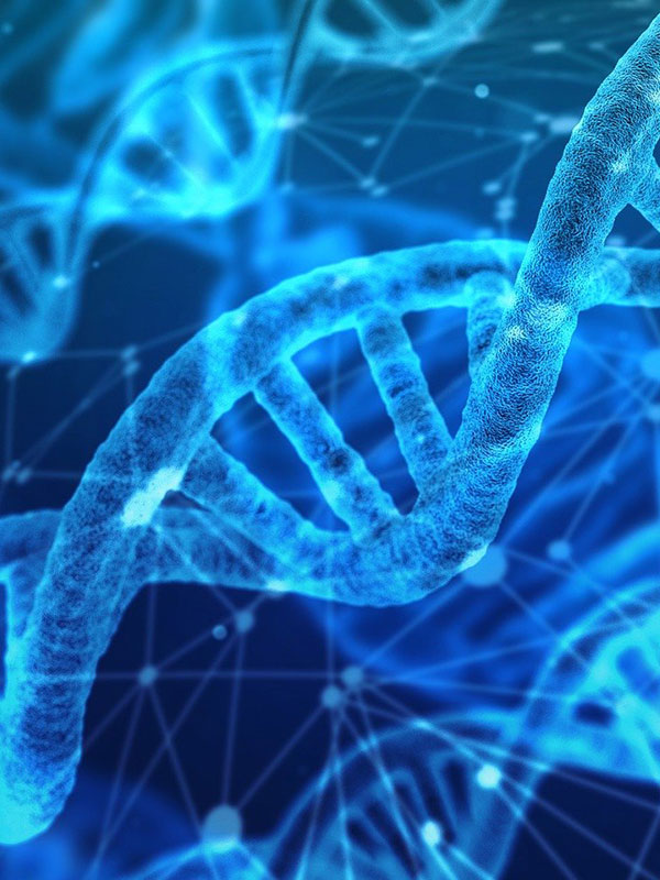 cenci-aria-compressa-settori-chimico-e-farmaceutico-immagine-verticale-dna